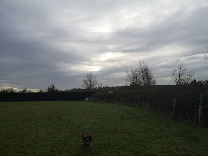 4 Paws Dog Field, Grittenham in Chippenham