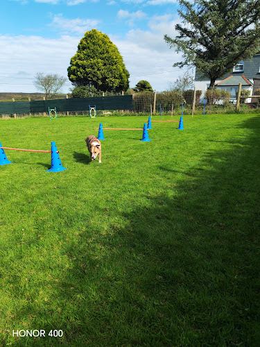 4 Paws Paddock in Bideford