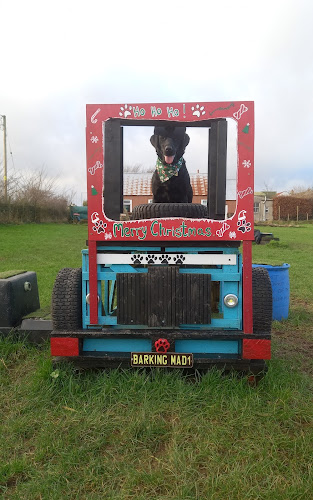 4pawsplay in Dumfries