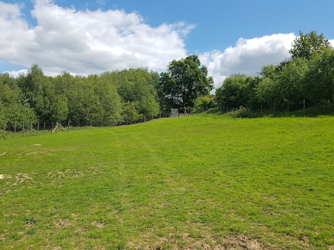 All Things Dog Secure Fun Fields, Burwash in Tunbridge Wells