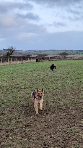 Allet Dog Paddock, Truro in Truro