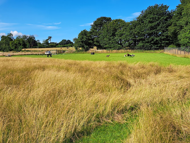 Alnwick Bark Park, Rugley in Alnwick