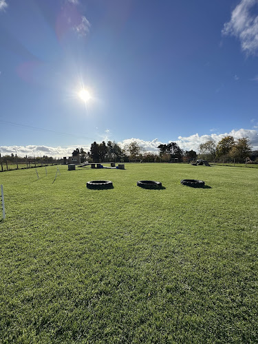 Ashbourne Dog Field in Derby