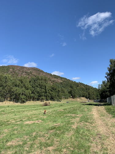 Aviemore Dog Park, Aviemore in Aviemore
