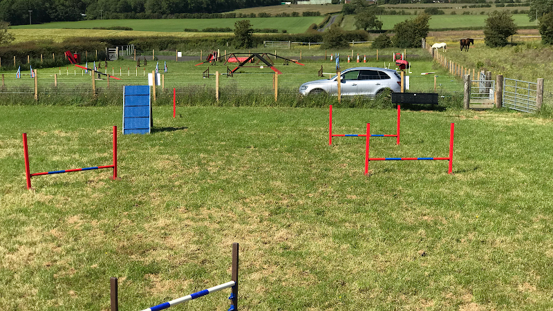 Ayrshire’s K9 Play Park (Dog Field), Prestwick in South Ayrshire