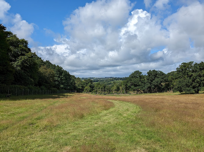 Bampton Bark Park, Tiverton in Barnstaple