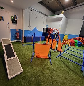 Bark 'N' Play - Barnstaple in Barnstaple