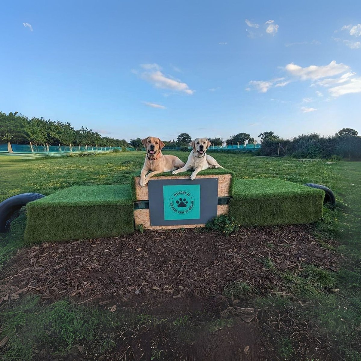 Bark Park of Higham, Dog Field, Rochester in Rochester