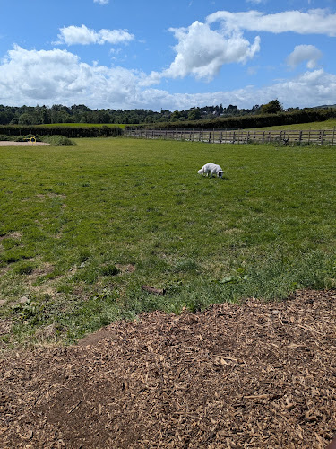 Barkside Park in Lisburn