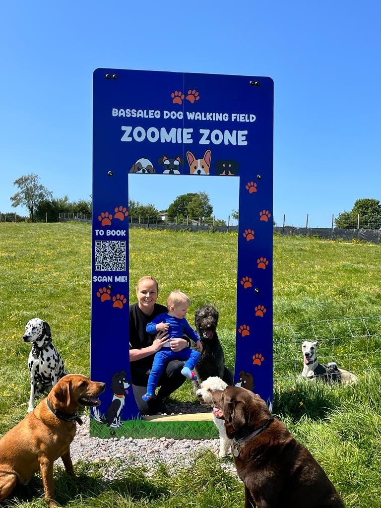 Bassaleg Dog Walking Field, Bassaleg in Newport