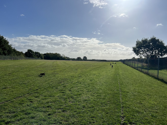 Baulking Dog Field, Faringdon in Faringdon