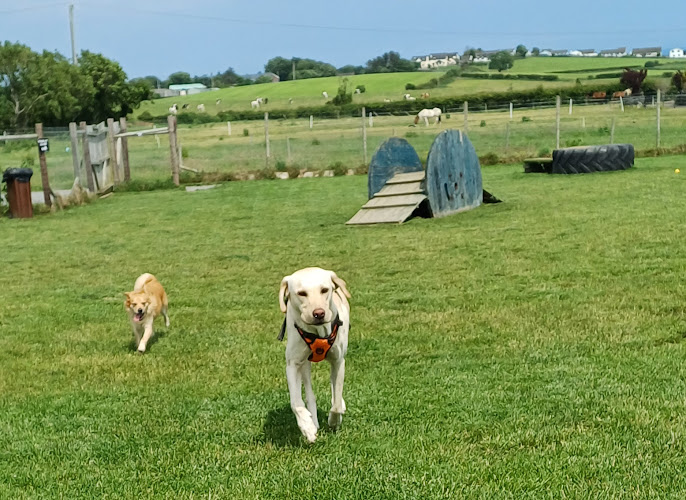 Belvedere Dog Park, Donaghadee in Donaghadee