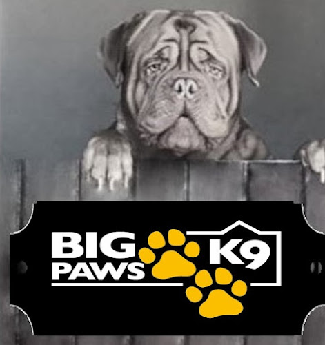 Big Paws K9 Enclosed Fields, Peterlee in County Durham