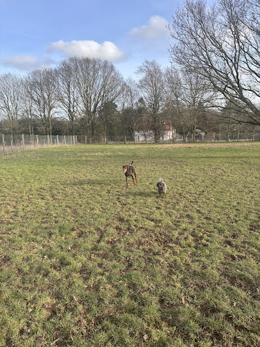 Birchanger Dog Field, Birchanger in Essex