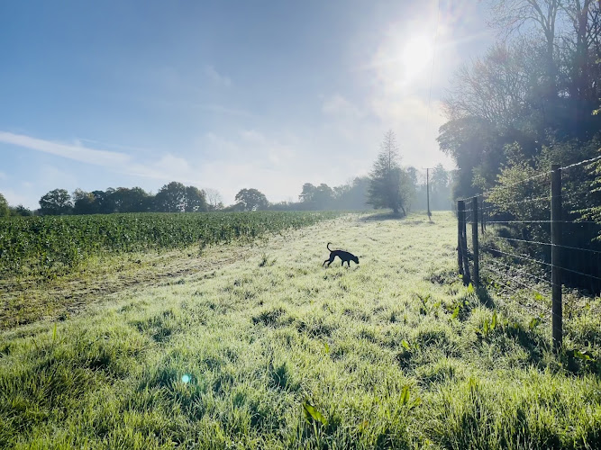 Blackboys dog meadow in Eastbourne