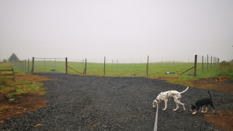 Blairgowrie Secure Dog Park, Rattray in Perth and Kinross