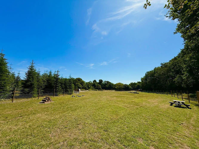 Bradshaws Dog Field in Wolverhampton