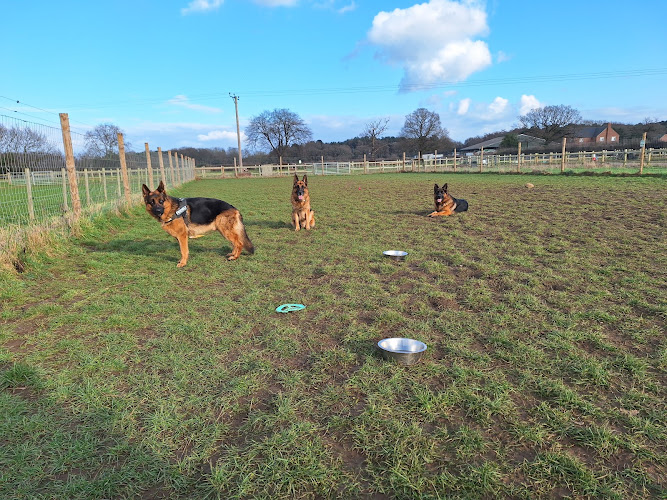 Branton Dog Field, Doncaster in Branton