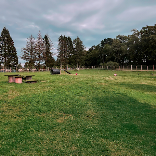 Brechin Dog Park in Brechin