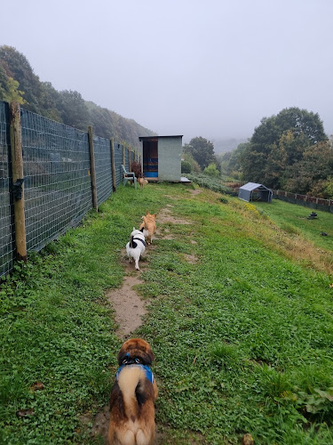 Brighouse Dog Field, Brighouse in Calderdale