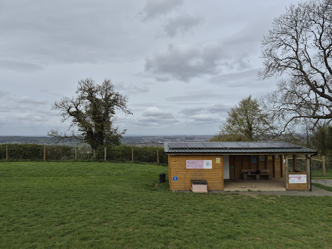 Bristol Dog Field in Bristol
