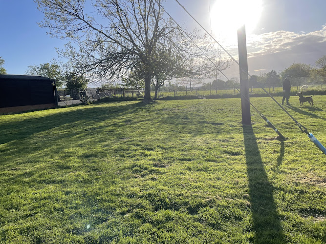 Broadacres Dog Walking Field in Northampton