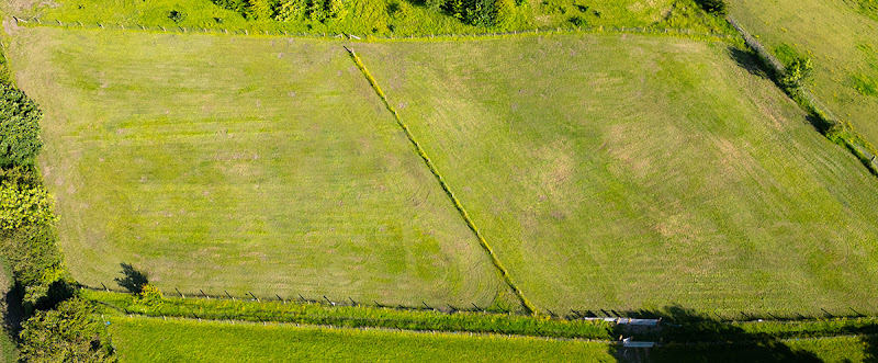 Broomhill Farm Free Run Paddock, Old Whittington in Derbyshire