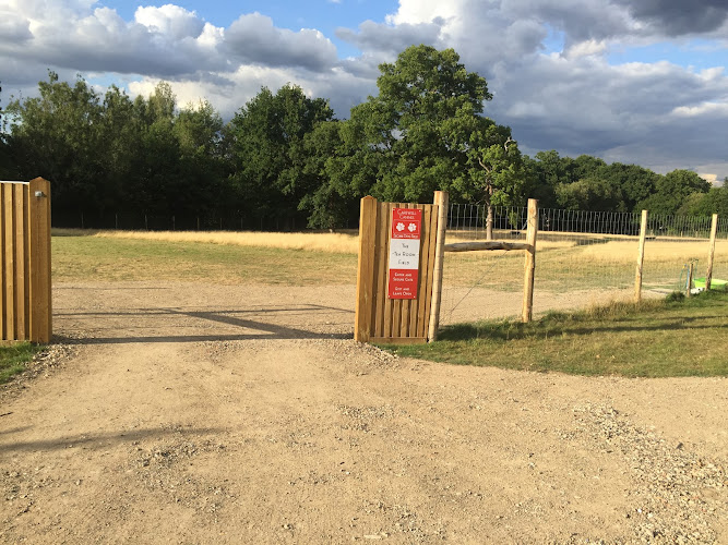 Carewell Canines Secure Dog Fields, Lingfield in Surrey