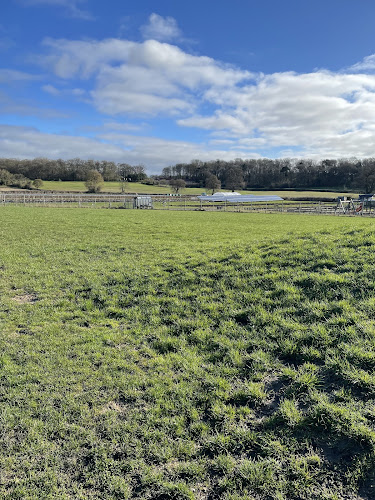 Cedarbarn Dog Field, Pickering in Ryedale