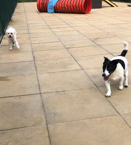 Centre Barks K9 Stay and Play in North East
