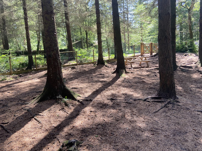 Centreparcs Dog Park (Moorland View) in Penrith