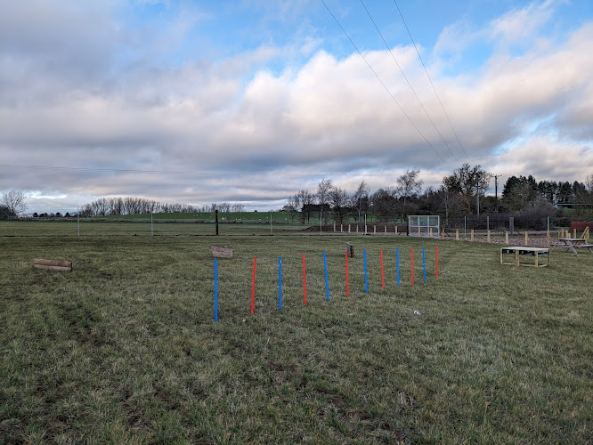 Cherry Meadows - Secure Dog Field in Banbury