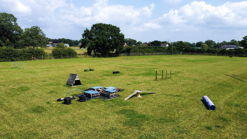 Chester’s Dog Walking Field, Preston in South Ribble