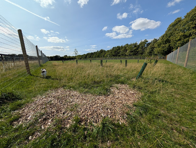 Cheveley Dog Park, Newmarket in Newmarket