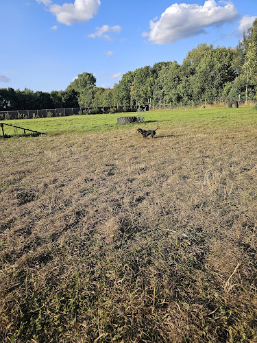 Christmas Hill Dog Park in Mildenhall
