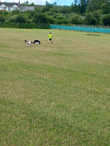 Collar Club, Dog Field, Cardiff in Vale of Glamorgan