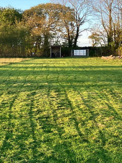 Cosheston Dog Field, Cosheston in Pembrokeshire
