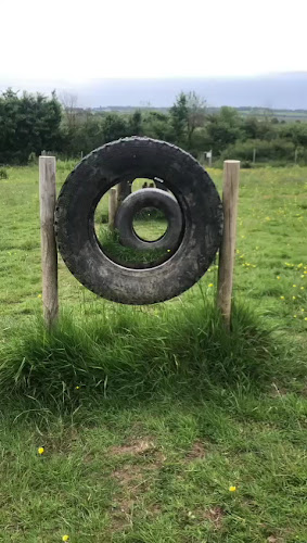 Country Dogs, Dog Field, Brading in Isle of Wight
