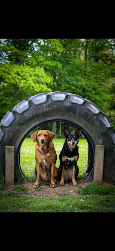 Cundall Dog Park, Cundall in York