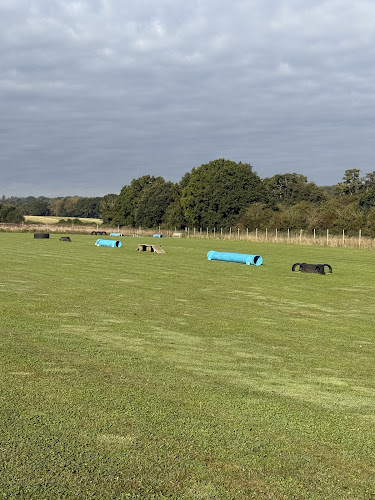 Dance’s Dog Paddock, Salisbury in East Grimstead