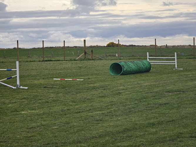 Davochfin Farm Secure Dog Field, Dornoch in Highland