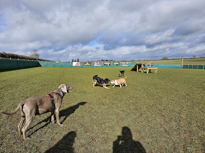 Dog Walking Field MK, Castlethorpe in Milton Keynes