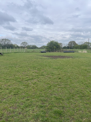 Doggy Adventure Parks in Preston