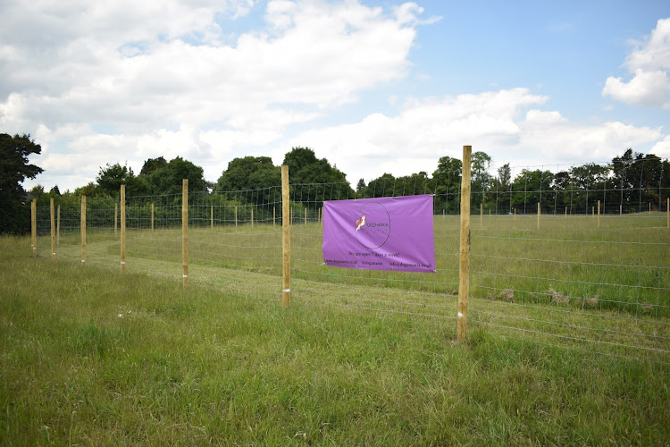 Dogzmania, Dog Fields, Iver in Heathrow