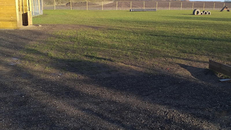 Driffield Dog Fields, Driffield in Driffield