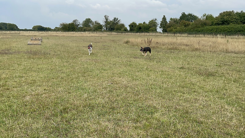 E and P Secure Dog Field, Cirencester in Gloucestershire