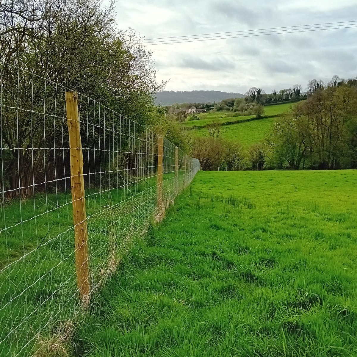 Edge Dog Field, Edge in Gloucester