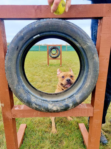 Filey Dog Field in Filey