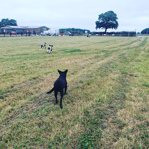 ForPets Enclosed Dog Field, Hemingbrough in Hemingbrough