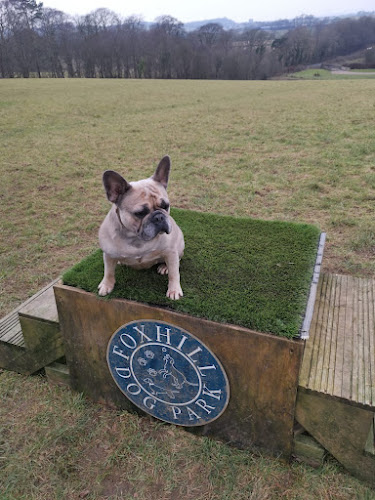 Foxhill Dog Park in Kilmarnock
